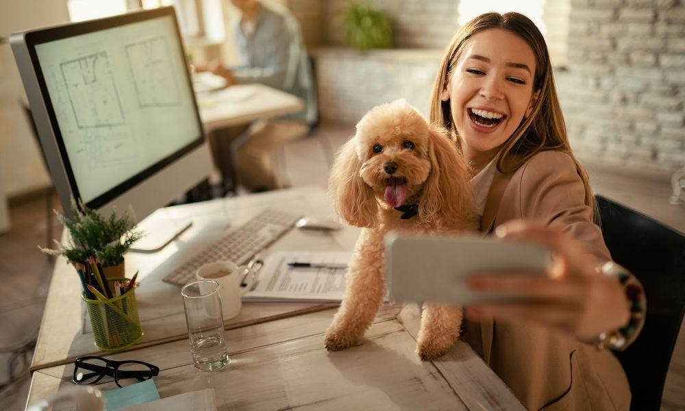 Challenges and Long-Term Sustainability Becoming Pet Influencer on Instagram