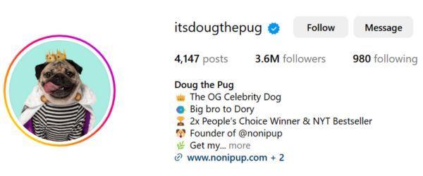 Doug the Pug