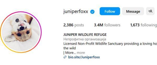 Juniper & Friends