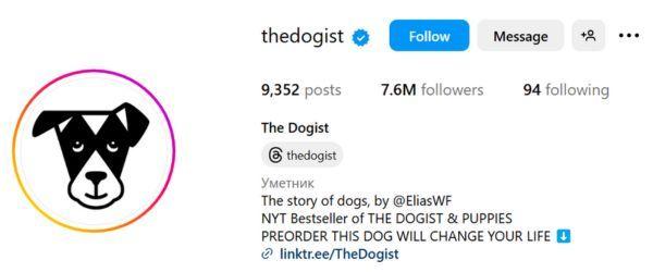 The Dogist