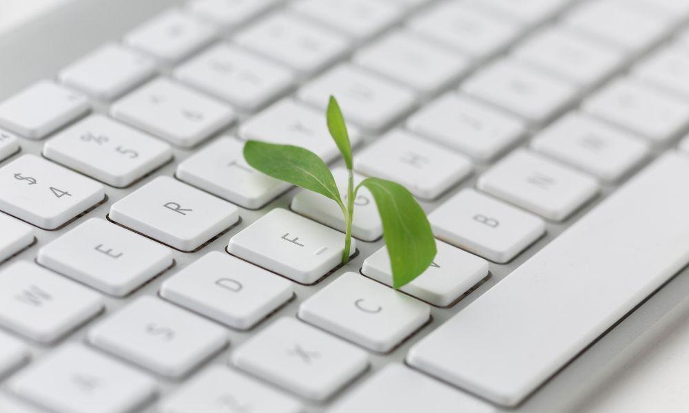 organic vs paid social media