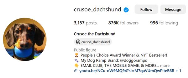 Crusoe the Dachshund