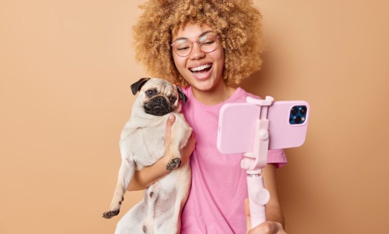 how-to-become-a-pet-influencer