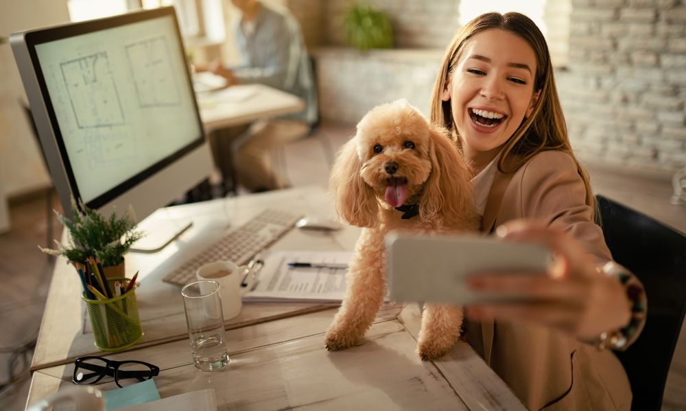 Challenges and Long-Term Sustainability Becoming Pet Influencer on Instagram