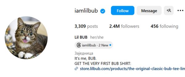 Lil BUB