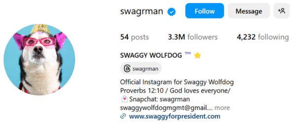 Swaggy Wolfdog